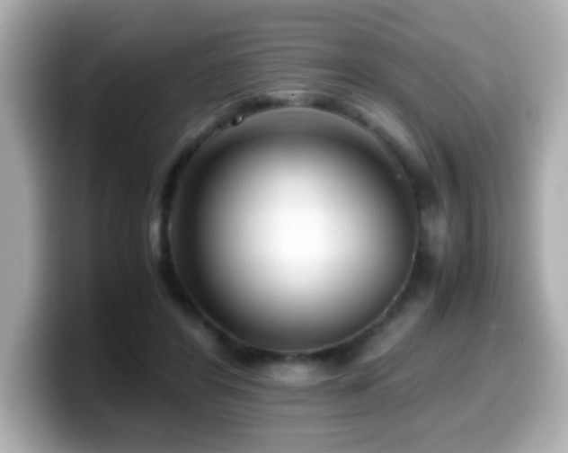 X0000099990404200805231456