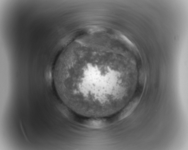 X0000099990405200805231456