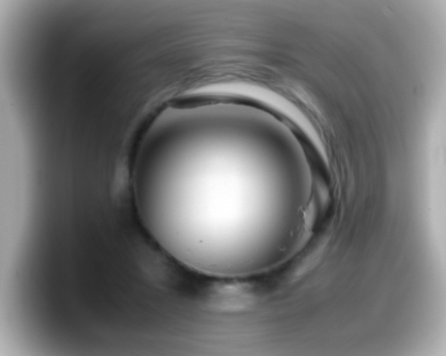 X0000099990407200805231456