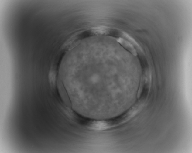 X0000099990409200805231456