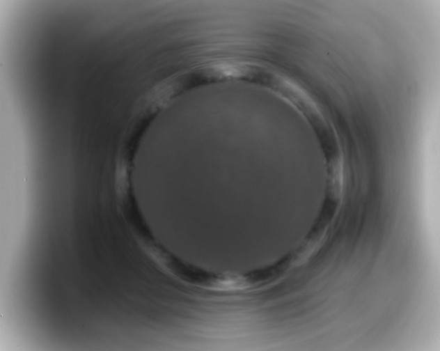 X0000099990410200805231456