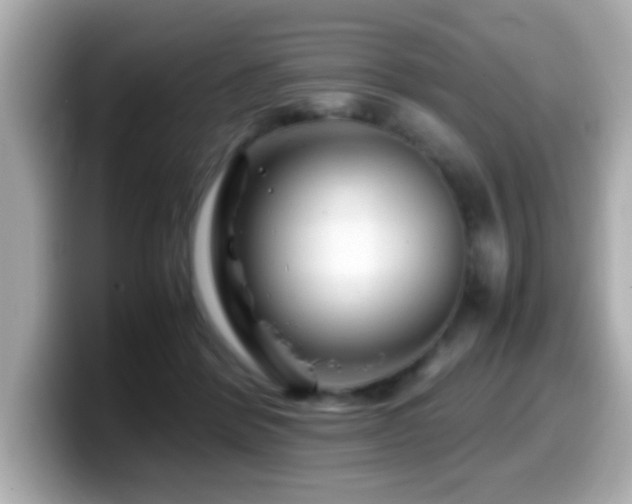 X0000099990412200805231456