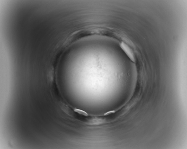 X0000099990413200805231456