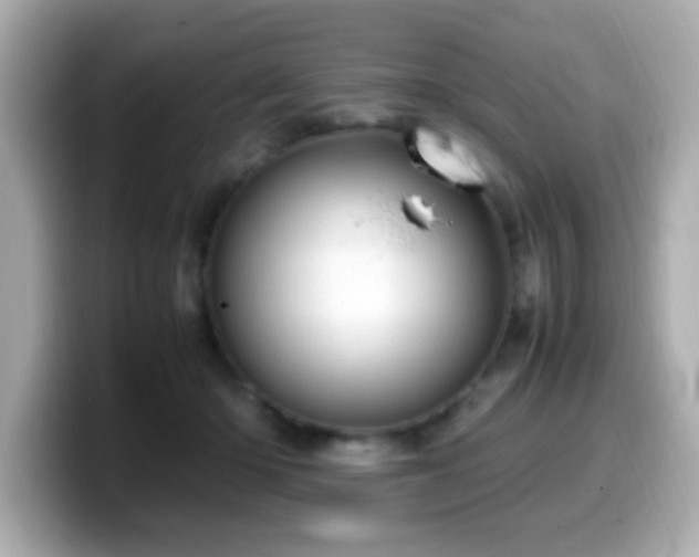 X0000099990414200805231456