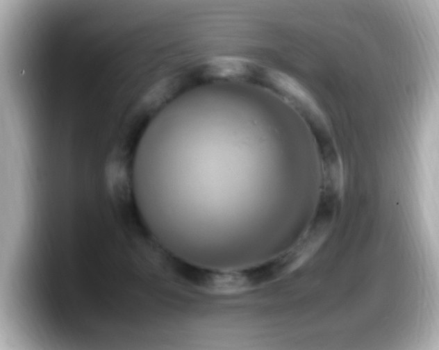 X0000099990415200805231456