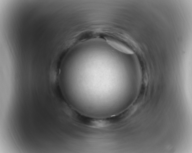 X0000099990417200805231456