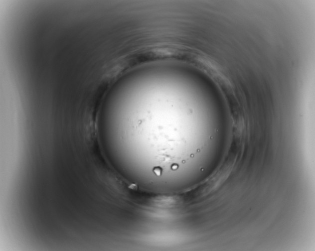 X0000099990418200805231456
