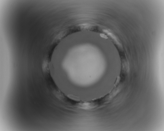 X0000099990419200805231456
