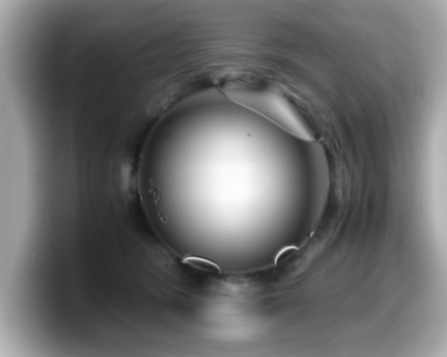 X0000099990420200805231456