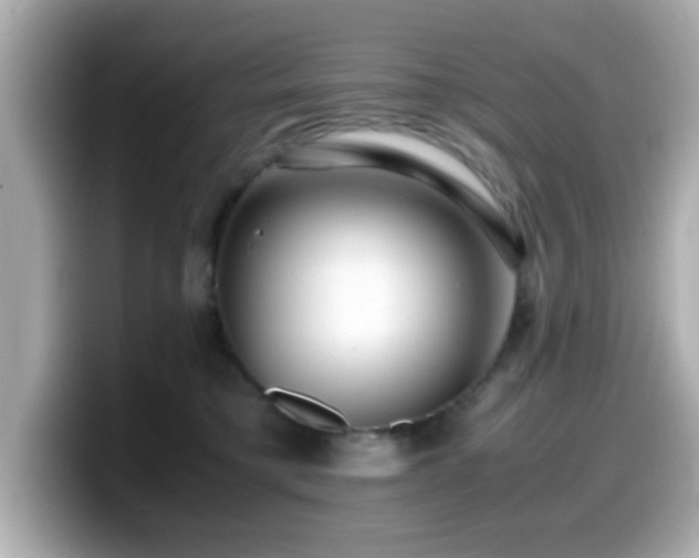 X0000099990421200805231456