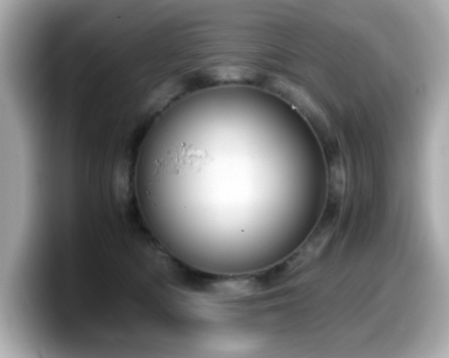 X0000099990422200805231456
