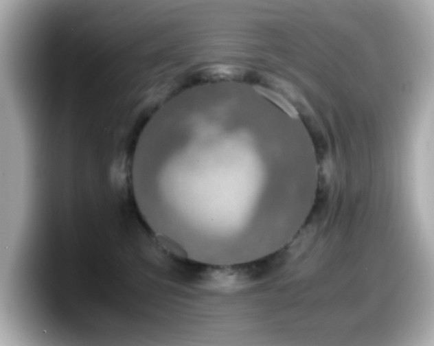 X0000099990423200805231456