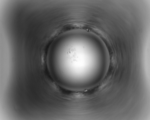 X0000099990424200805231456
