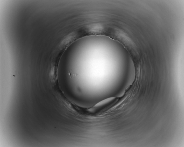 X0000099990428200805231456