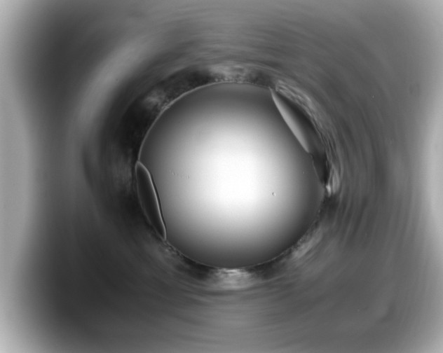 X0000099990429200805231456