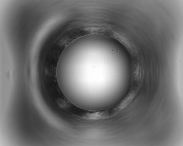 X0000099990430200805231456