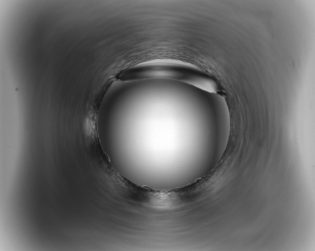 X0000099990432200805231456