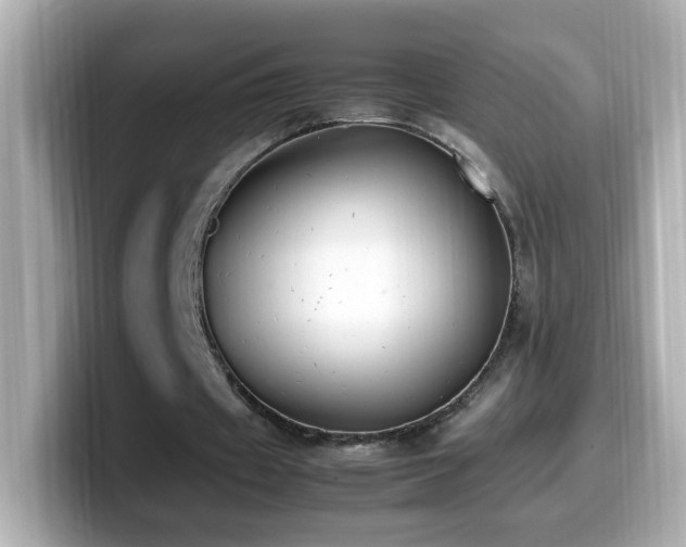 X0000099990433200805231455