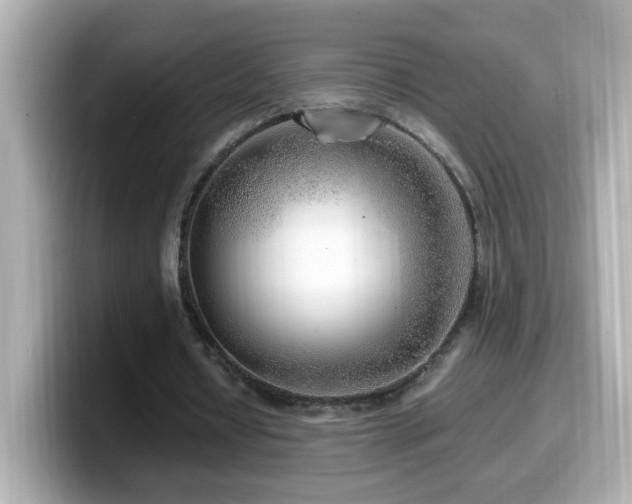 X0000099990434200805231455