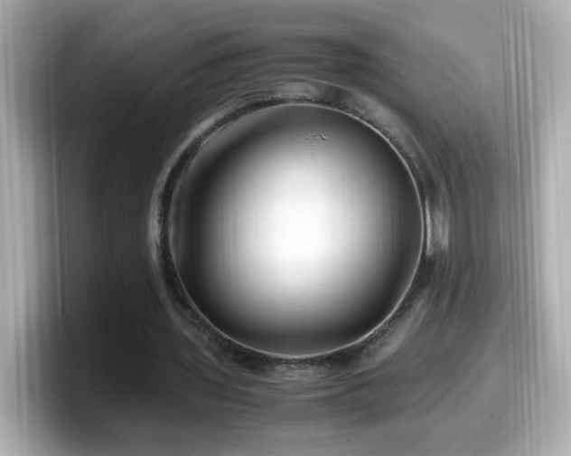 X0000099990435200805231455