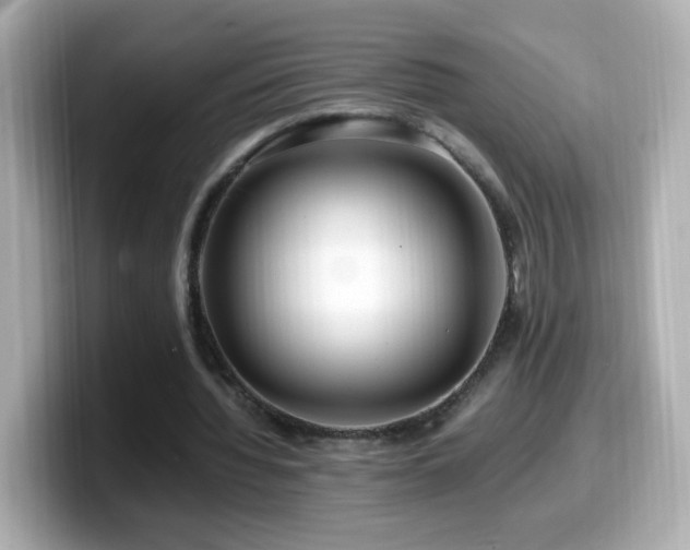 X0000099990436200805231455