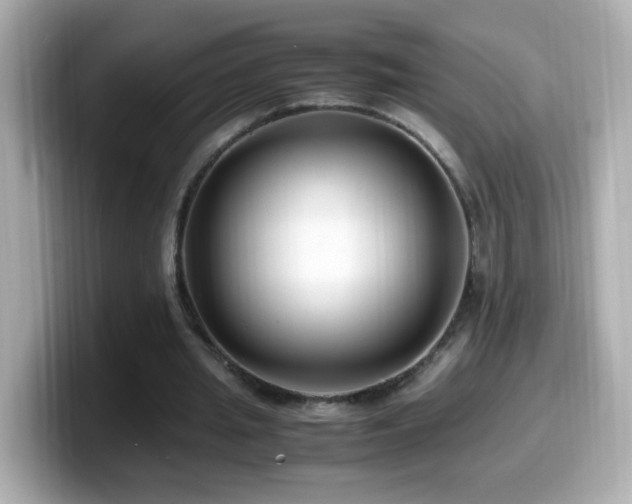 X0000099990437200805231455
