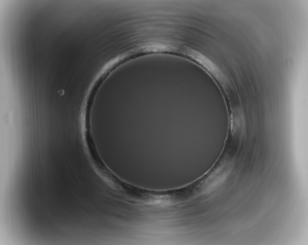 X0000099990438200805231455