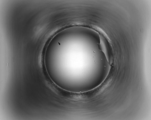 X0000099990439200805231455