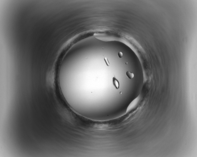 X0000099990440200805231456