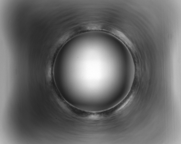 X0000099990441200805231456