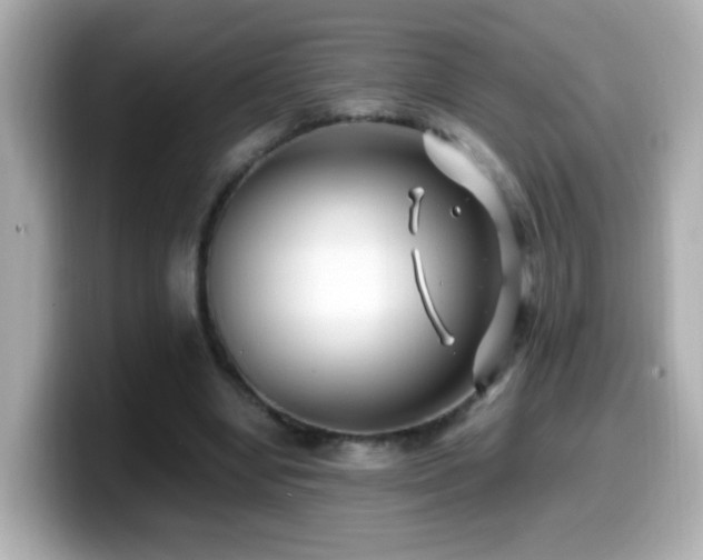 X0000099990442200805231456