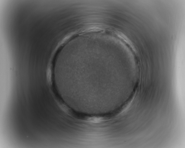 X0000099990444200805231456