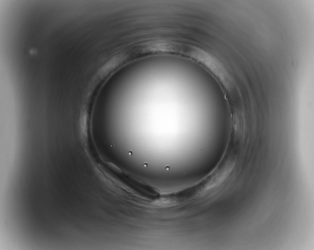 X0000099990445200805231456