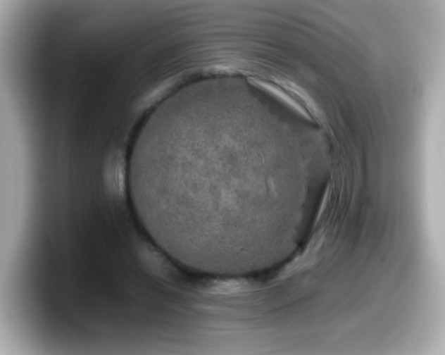 X0000099990446200805231456