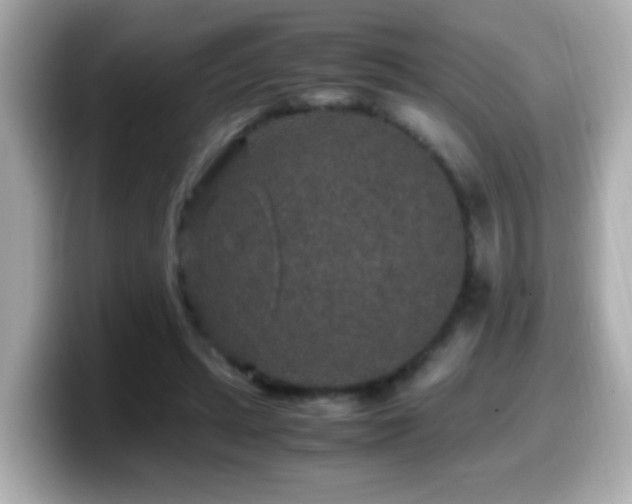 X0000099990447200805231456