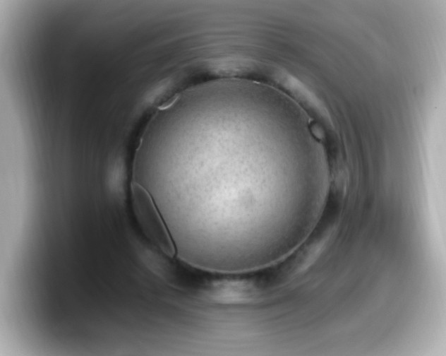 X0000099990448200805231456