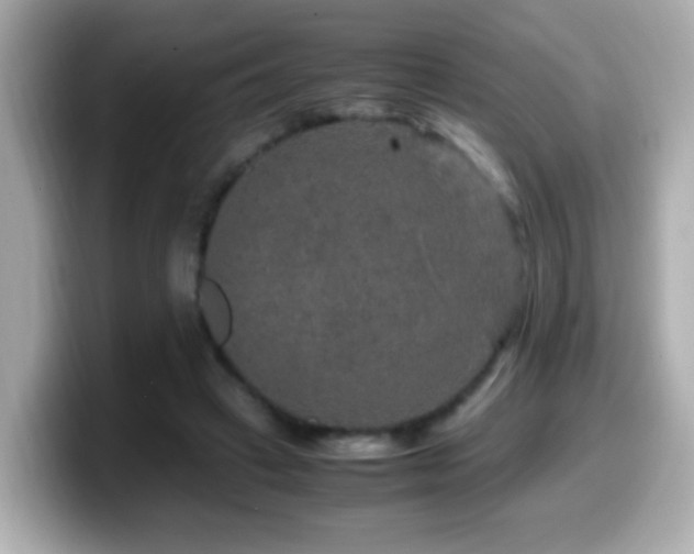 X0000099990449200805231456