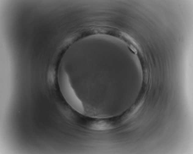 X0000099990451200805231456