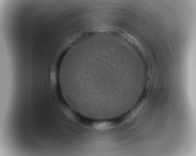 X0000099990452200805231456