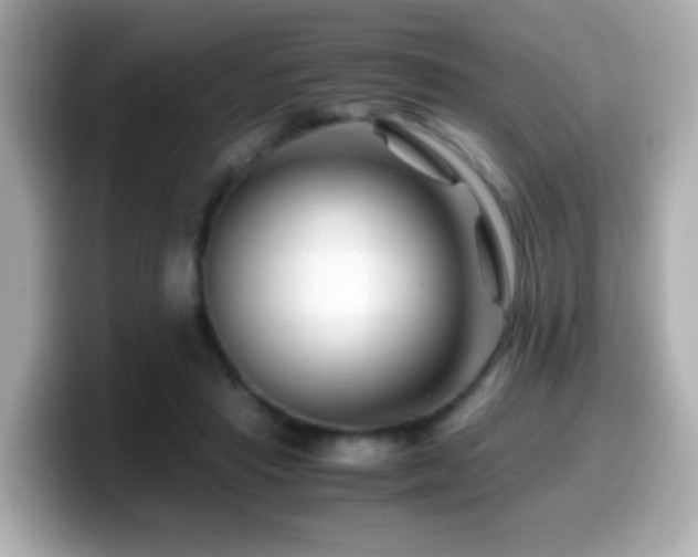 X0000099990453200805231456
