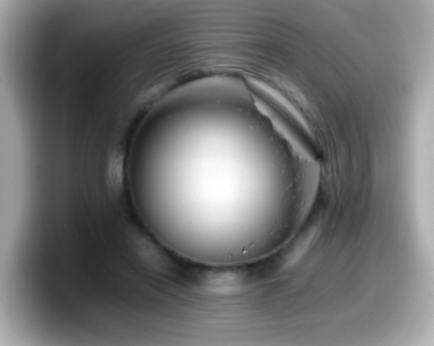 X0000099990454200805231456