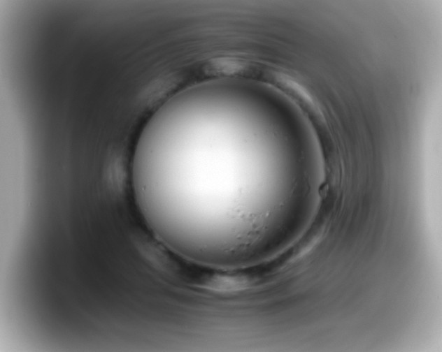 X0000099990455200805231456