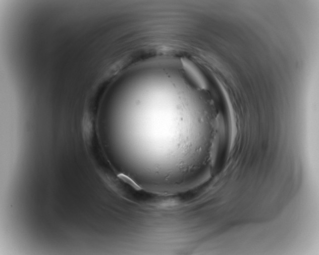 X0000099990456200805231456