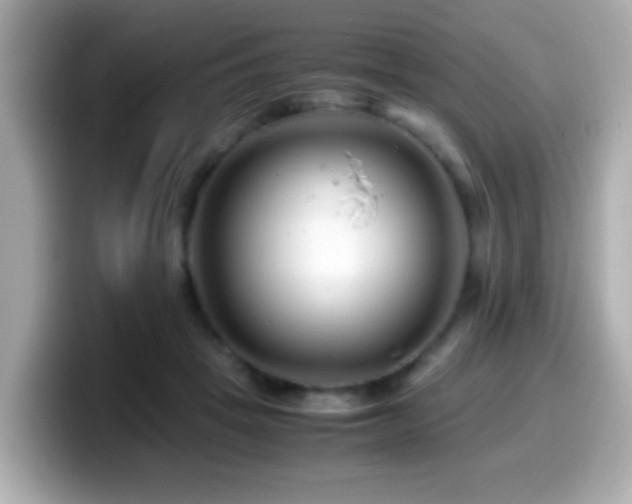 X0000099990457200805231456