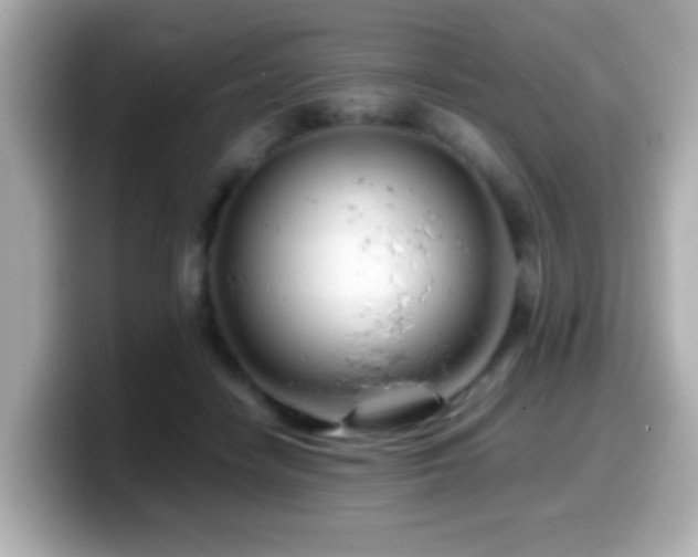 X0000099990458200805231456