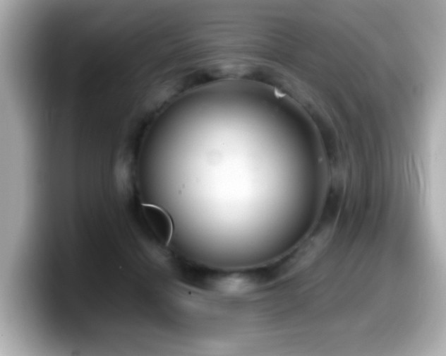X0000099990460200805231456