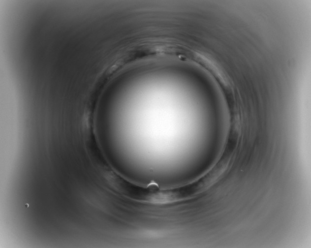 X0000099990461200805231456