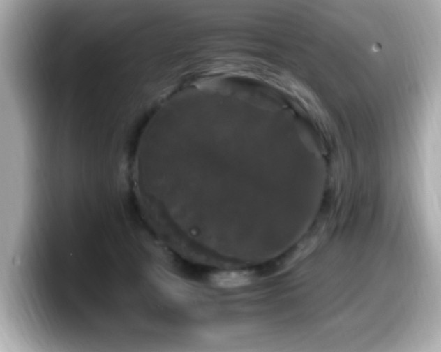 X0000099990465200805231456