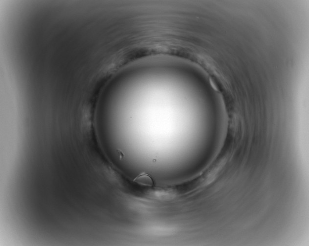 X0000099990466200805231456