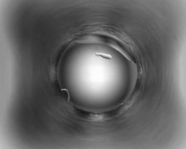 X0000099990469200805231456